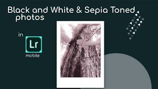 Black and White Photos/Sepia Toned Photos in Adobe Lightroom Mobile screenshot 4