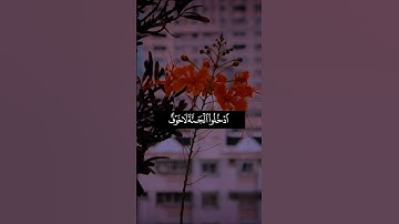 القارئ - شايع التميمي من سورة الأعراف#قرآن #المصحف #إستمع #اكسبلور