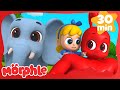 Animales Gigantes | ¡NUEVO! | Morphle en Español | Caricaturas para Niños