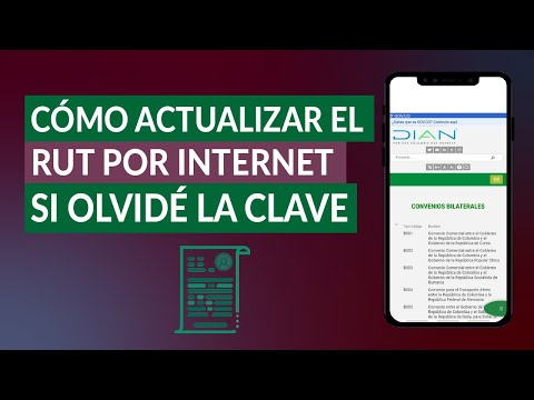 ¿Cómo Actualizar el RUT por Internet si Olvidé la Clave?