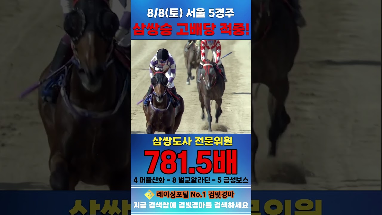 [서울 경마] 8월 8일 토요 5경주 삼쌍도사 전문위원 삼쌍승 고배당 적중 #경마 #automobile #한국마사회 #horse #하이라이트 #riding #korean #게임