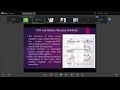03_The Basal Transcriptional Machinery
