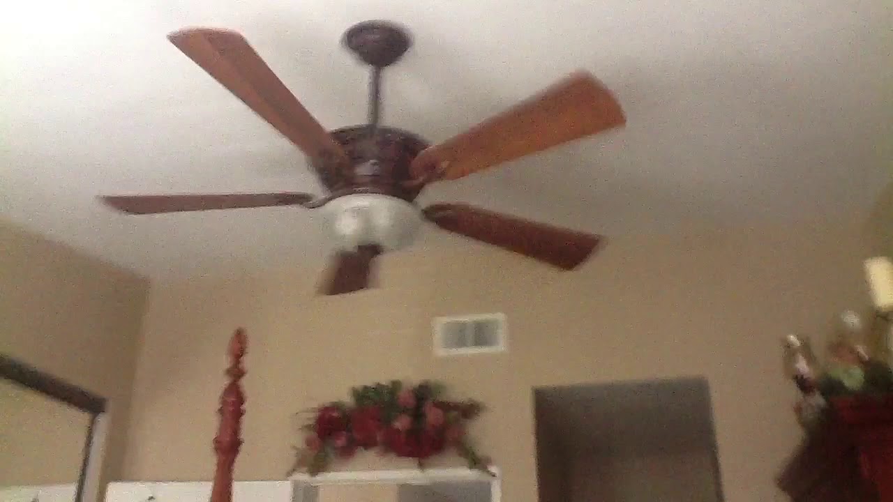 Movie Clips of the Hampton Bay Bercello Estates Ceiling Fan - YouTube