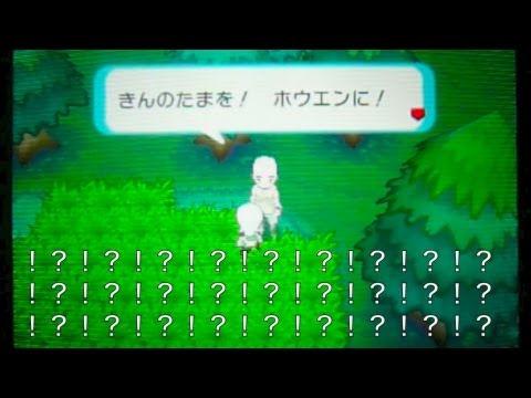 10周達成 ポケモン オメガルビー アルファサファイアの特別体験版を初見実況プレイ 第4回 クリア後 8 10周目 Youtube