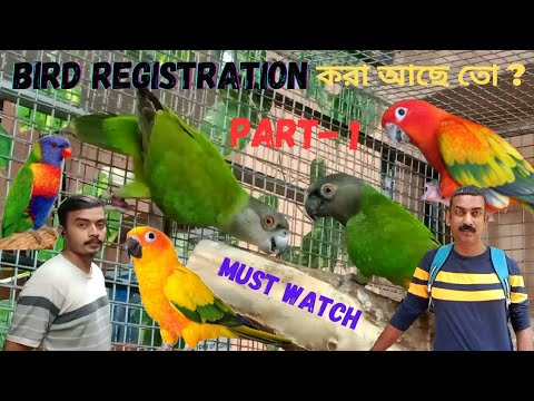 Bird Registration and Sun Conure, Lorykeet, Senegal Parrot Full Details | Part – 1 |