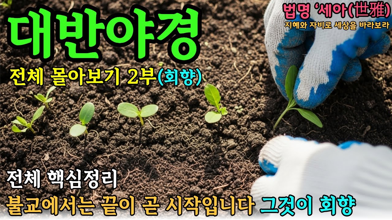 몰아보기 대반야경 전체핵심정리 2부
