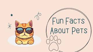 Some Unique Fun Facts About Pets That Will Blow Your Mind | BudgetPetCare | 2023 by BudgetPetCare 8 views 11 months ago 46 seconds