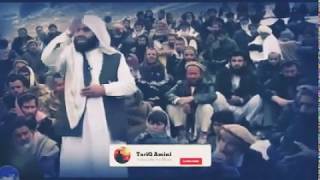 Ба тирур/каштан _ уламо Амнят Намеояд