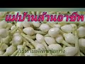 วิธีทำมะลิทิชชู่อย่างละเอียด​EP.1