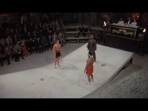 قلب الاسد فاندام مع الحماس 