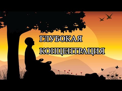 Медитация на концентрацию внимания. БЫСТРЫЙ ЭФФЕКТ