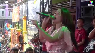 Nilah bintang pantura-benci kusangka sayang