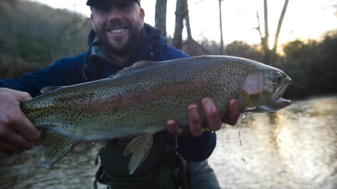 Fly Fishing North Georgia - Thomas Fountain (Episode 1) "A Day In The Life" - YouTube