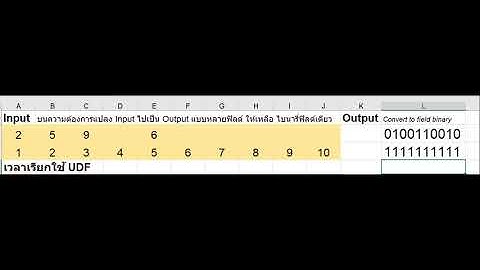 EXCEL UDF Convert range value to single binary field