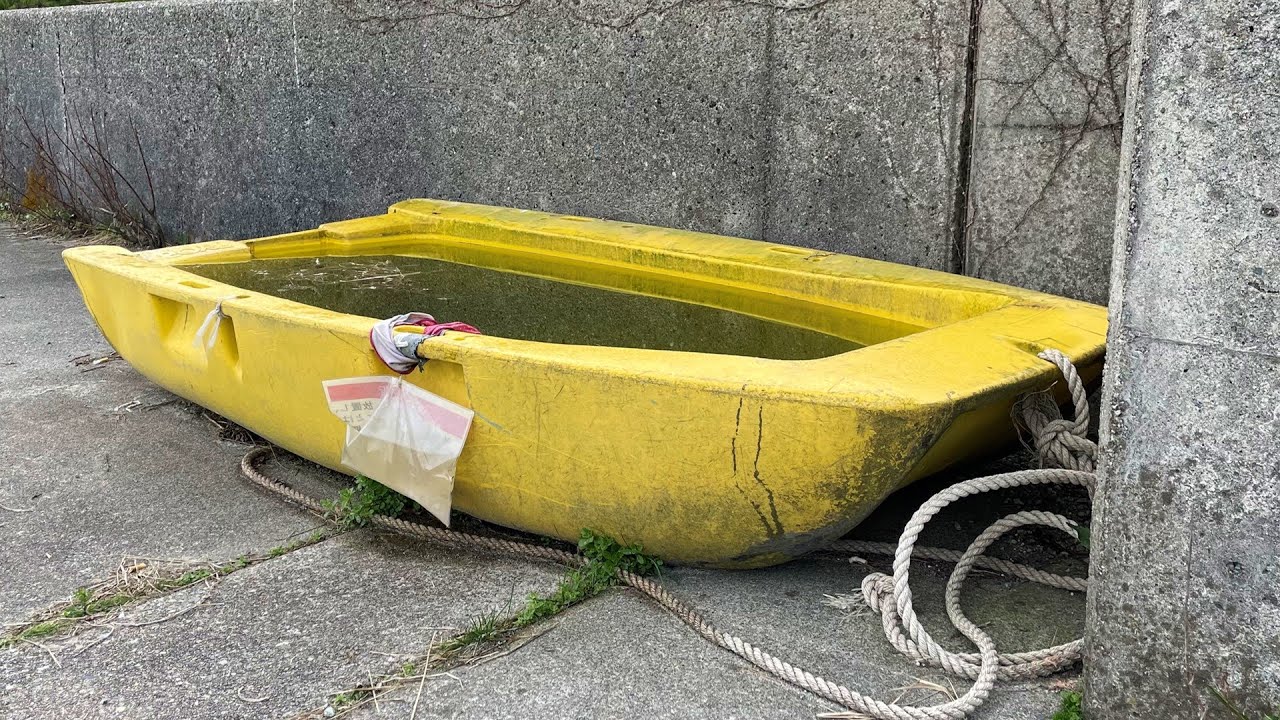 Abandoned boat found to be infested with strange creatures - YouTube