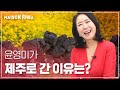 레아멘토 윤영미 아나운서🧡 그녀가 제주로 간 이유는?