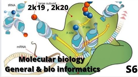 | KU  BSc Botany questions  ( Sem 6 ) Molecular biology , General & Bio informatics - 2k19 , 2k20 |
