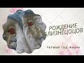 Рождение близнецов/ Выписка из роддома/ Первый год жизни. Часть 1