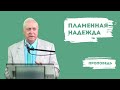 Пламенная надежда | Уроки ЧистоПисания