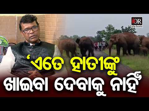 ଏତେ ହାତୀଙ୍କୁ ଖାଇବାକୁ ଦେବାକୁ ନାହିଁ! | Odisha Reporter