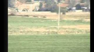 Hare coursingThe red dog(saluki type)on the blackland by jacob lee 2,081 views 13 years ago 2 minutes, 13 seconds