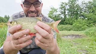 #3, Float fishing with maggots on a new peg, free pool near walsall,