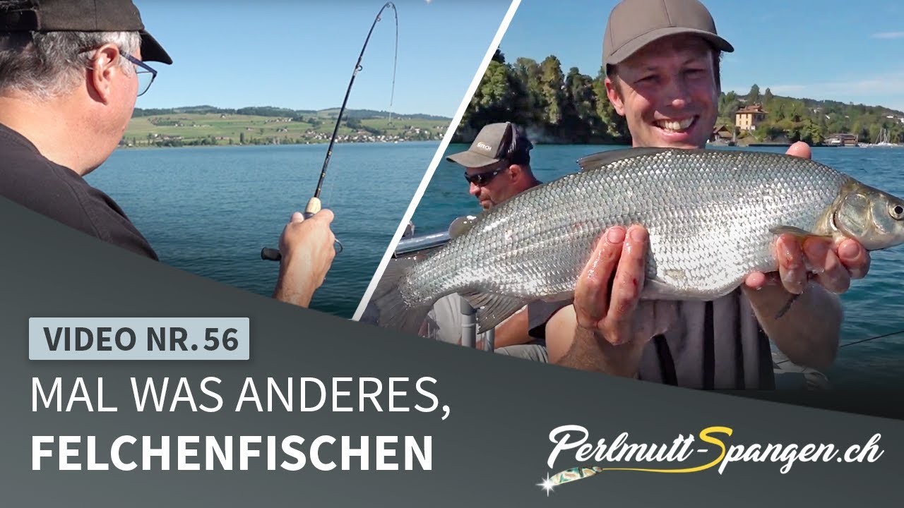 Mal was anderes, Felchenfischen