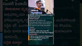 Google CEO Sundar Pichai’s Advice for Achieving Greatness