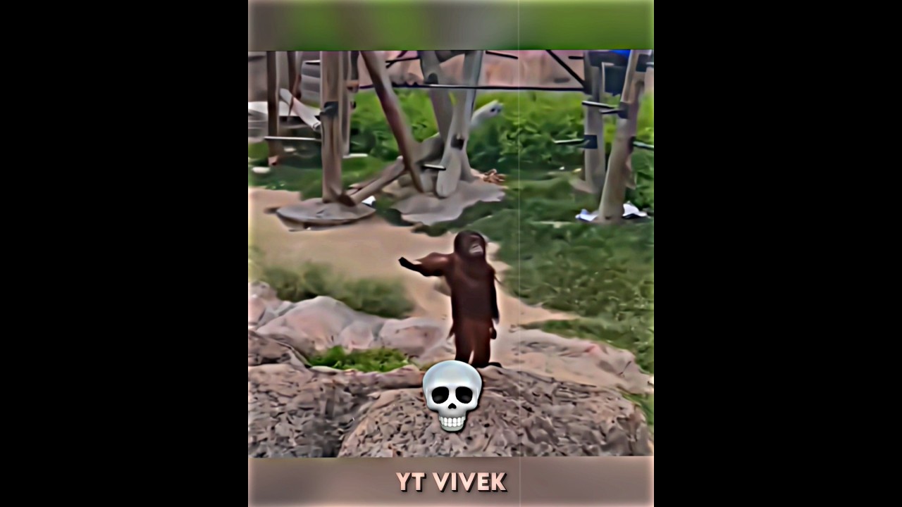 preview_player