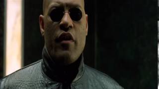 Morpheus  What happened