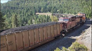 Large 4x4x1 coal train with BNSF/CP Rail/MRL power climbs up Mullan Pass  Sept. 2023