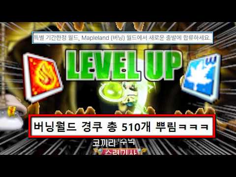 1경쿠 2업하는 미친 메랜 신섭ㅋㅋㅋㅋ