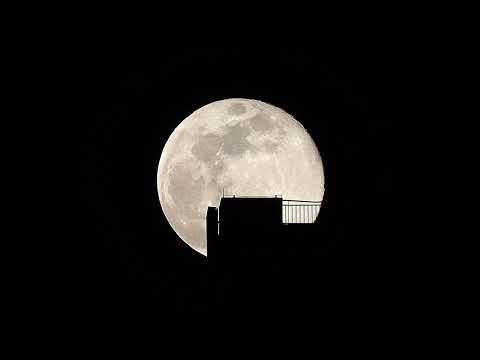 달구경 (Moon Gazing) - 서율 (SEOYUL)