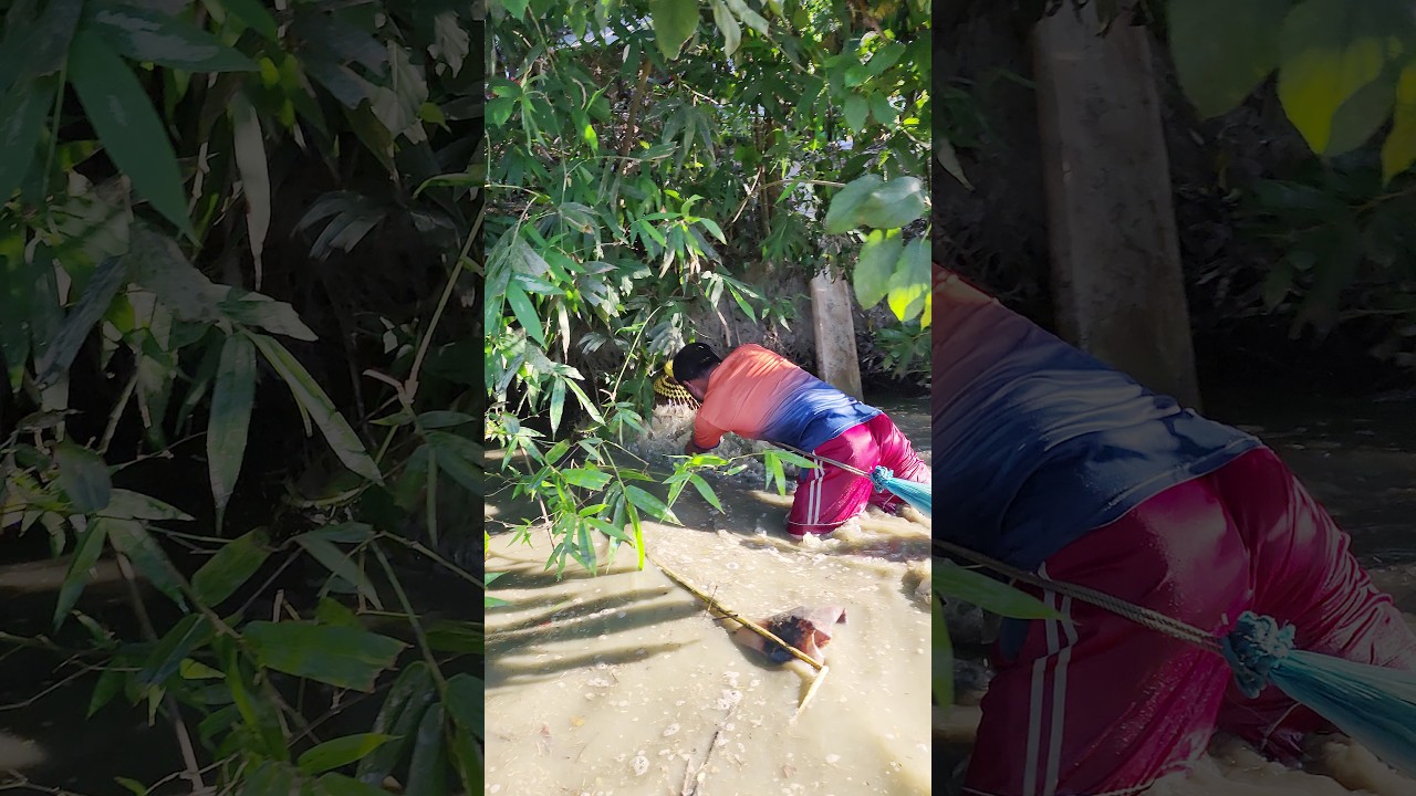 গ্রামের পুরনো পুকুরে বিশাল বড় বড় মাছ ধরা দেখুন🐟Unbelievable Biggest fishing #viral #fish #india