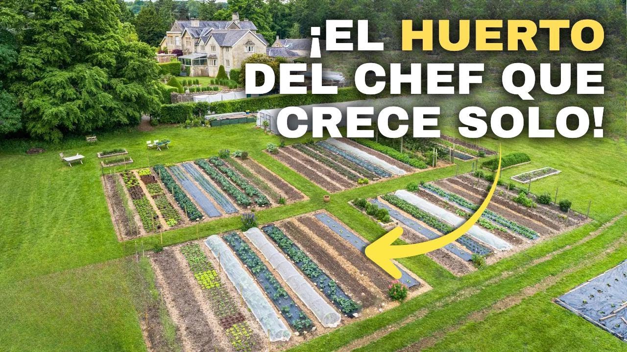 El chef del hotel transforma un jardín en algo espectacular