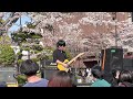 ポルカドットスティングレイ