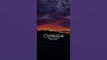 تلاوة هادئة تريح الأعصاب 😴🎧 | القاريء رعد الكردي - سورة الطلاق 🤍🌥️."