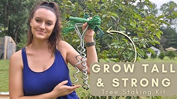 🌳 Heavy-Duty Tree Stake Kit – Protect & Straighten Young Trees! 🌿💪