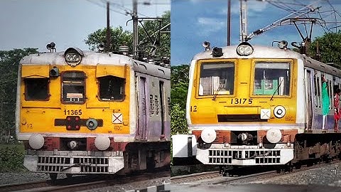 Different Model Aerodynamic Face & Flat Face EMU Local Trains Furiously skip Between Busy Railgate