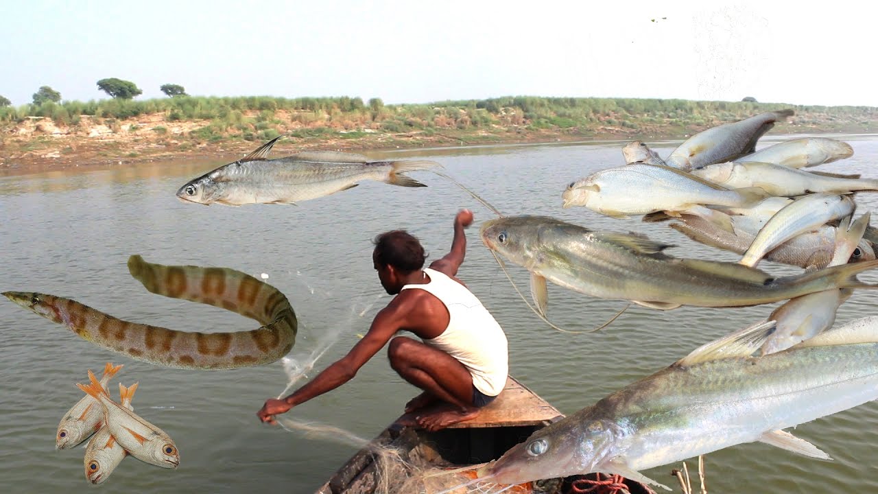 wow Amazing Fishing - India Traditional fishing - How to Catches Fish | Desi Indian Food