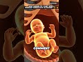 What Happened to a Baby When a Pregnant Woman Eats an Orange? 🍊🤰👶 #OrangeDuringPregnancy#fypviral