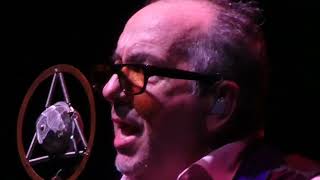 Watch Elvis Costello Honey Are You Straight Or Are You Blind video