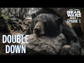 Aaron & Joe Double Up on 2 Black Bears! | BWS2  EP01