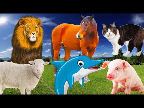 Interessante kenmerken van bekende dieren: paard, dolfijn, kat, varken, schaap - Deel 11