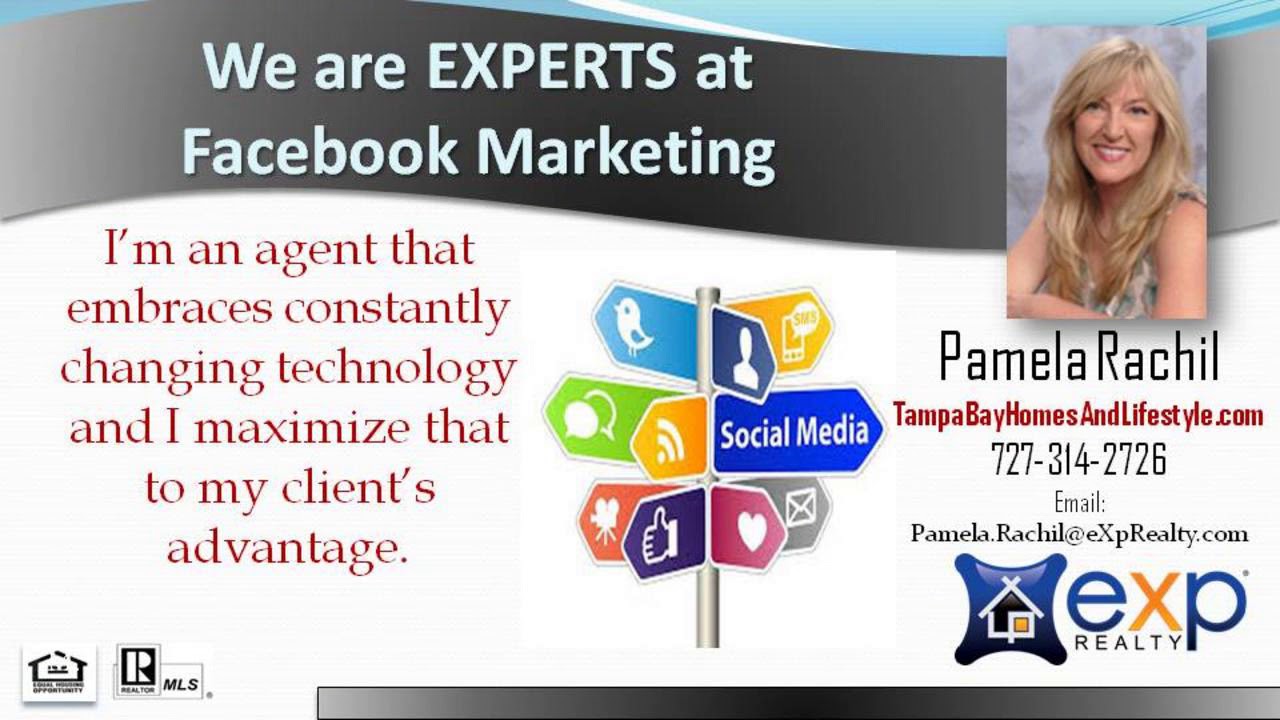 Searching for the Best Realtor in Palm Harbor FL