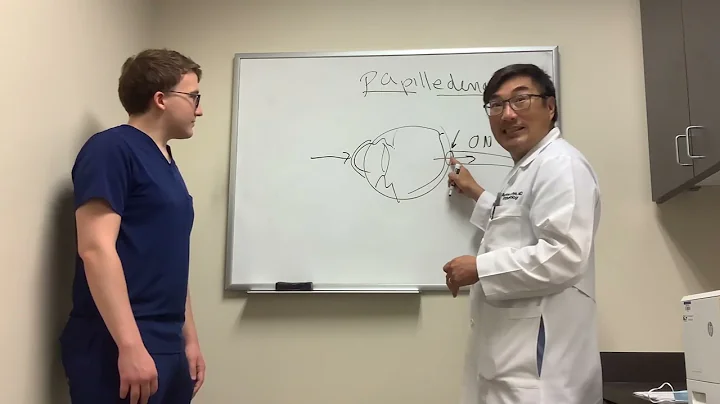 EyeWonder: Papilledema
