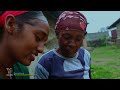 Tolasaa Tasfaayee Oromtitti New Oromian Oromo Music 2023 Official Video Tolasaa Tasfaayee Oromtitti New Oromian Oromo Music 2023 Official Video