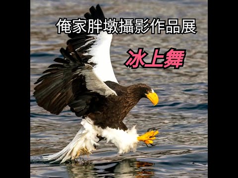 冰上舞〔北海道旅遊〕“大師”胖墩攝影作品展：美好瞬間（2023 年 2 月 17～19 日）音楽♪別海讃歌