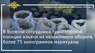 Ирина Волк:В Бурятии сотрудники полиции изъяли из незаконного оборота более 75 килограммов марихуаны