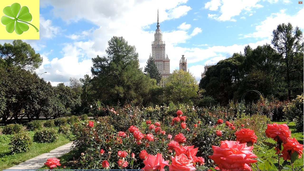 Сад мгу на воробьевых